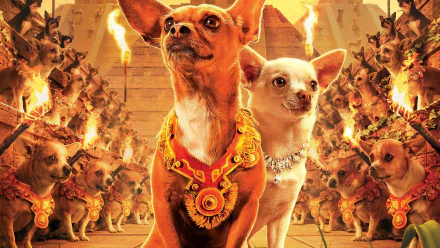 HD PC desktop wallpaper/background from the movie Beverly Hills Chihuahua: two jeweled chihuahuas posed before a golden, fiery temple with rows of chihuahuas in the background.