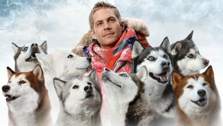 movie Eight Below HD Desktop Wallpaper | Background Image