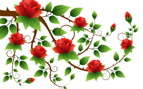  Red Rose Art