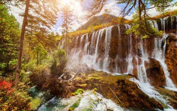 Earth Waterfall Waterfalls Forest Tree Fall HD Wallpaper | Background Image
