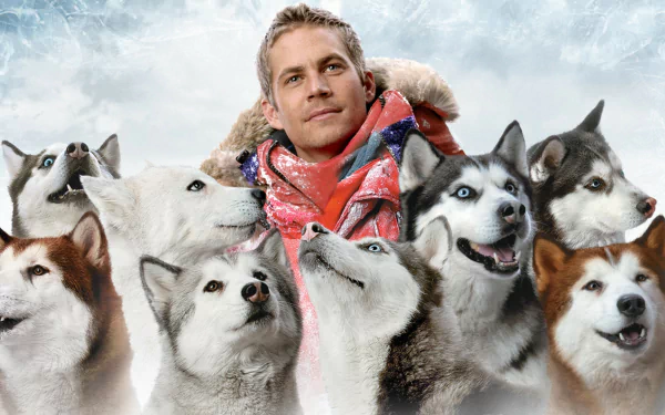 movie Eight Below HD Desktop Wallpaper | Background Image