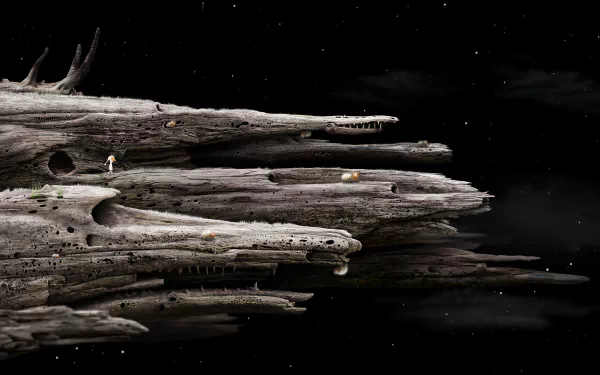 HD desktop wallpaper featuring a mystical, wood-like structure from the game Samorost 3 set against a starry space backdrop.
