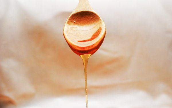 60+ Honey HD Wallpapers | Background Images