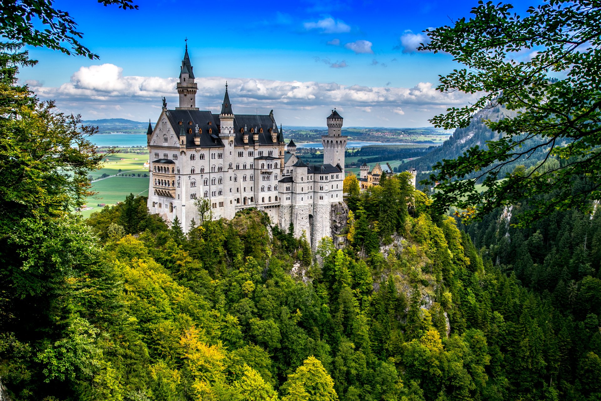 Neuschwanstein Castle Wallpaper Castle Neuschwanstein Wallpaper