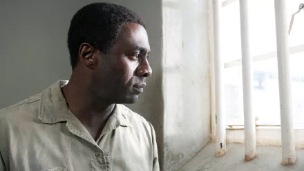 Idris Elba movie Mandela: Long Walk to Freedom HD Desktop Wallpaper | Background Image
