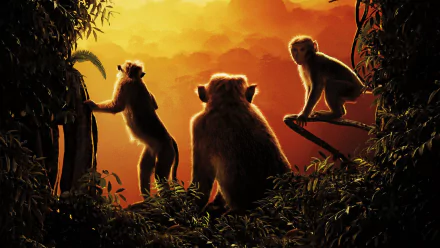 monkey movie Monkey Kingdom HD Desktop Wallpaper | Background Image