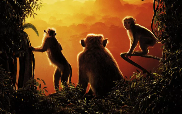 monkey movie Monkey Kingdom HD Desktop Wallpaper | Background Image