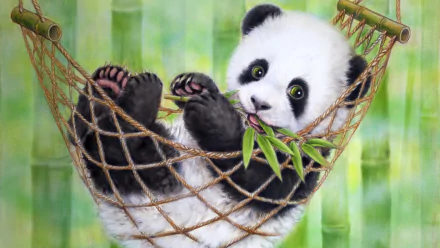HD wallpaper of a baby panda resting in a hammock, chewing a bamboo leaf, with a background of bamboo stalks.