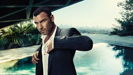 Ray Donovan TV Show HD Desktop Wallpaper | Background Image