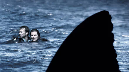 movie Open Water HD Desktop Wallpaper | Background Image