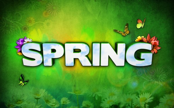 Artistic Spring Word Flower Butterfly HD Wallpaper | Background Image