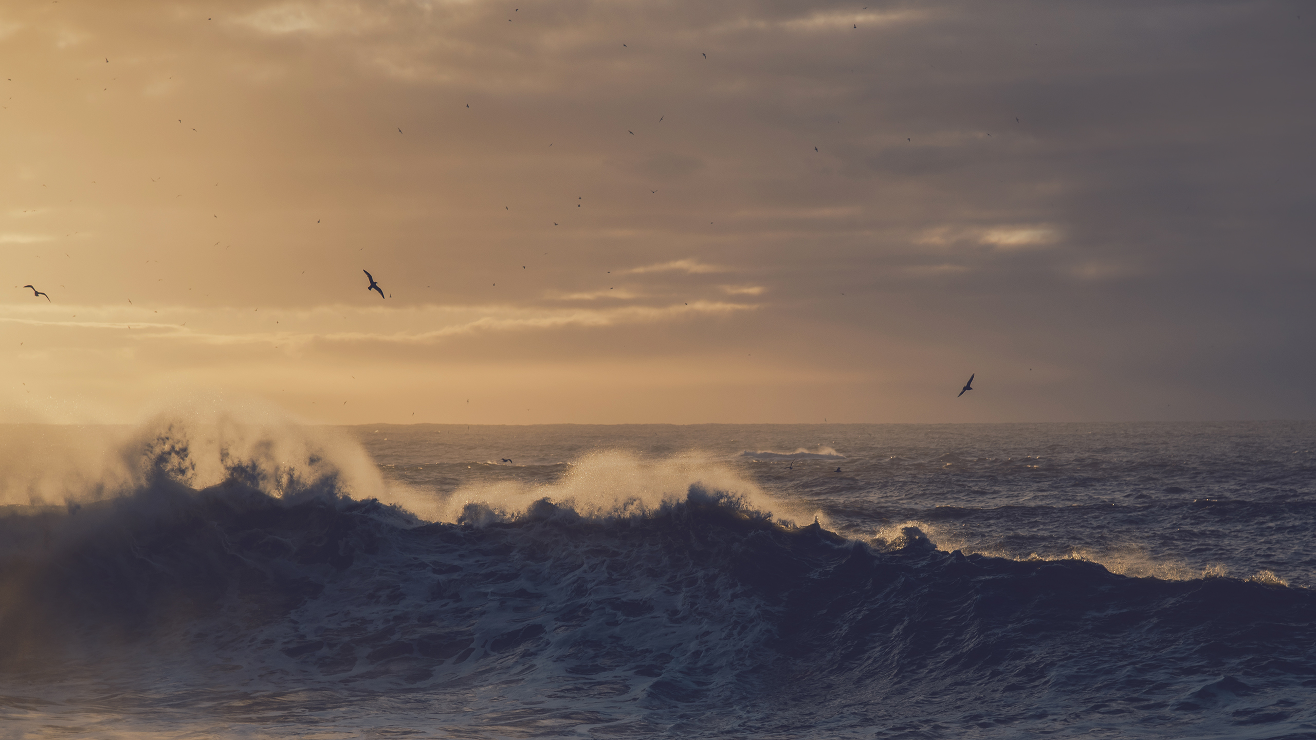 Océano Fondo de pantalla HD | Fondo de Escritorio | 2560x1440 | ID