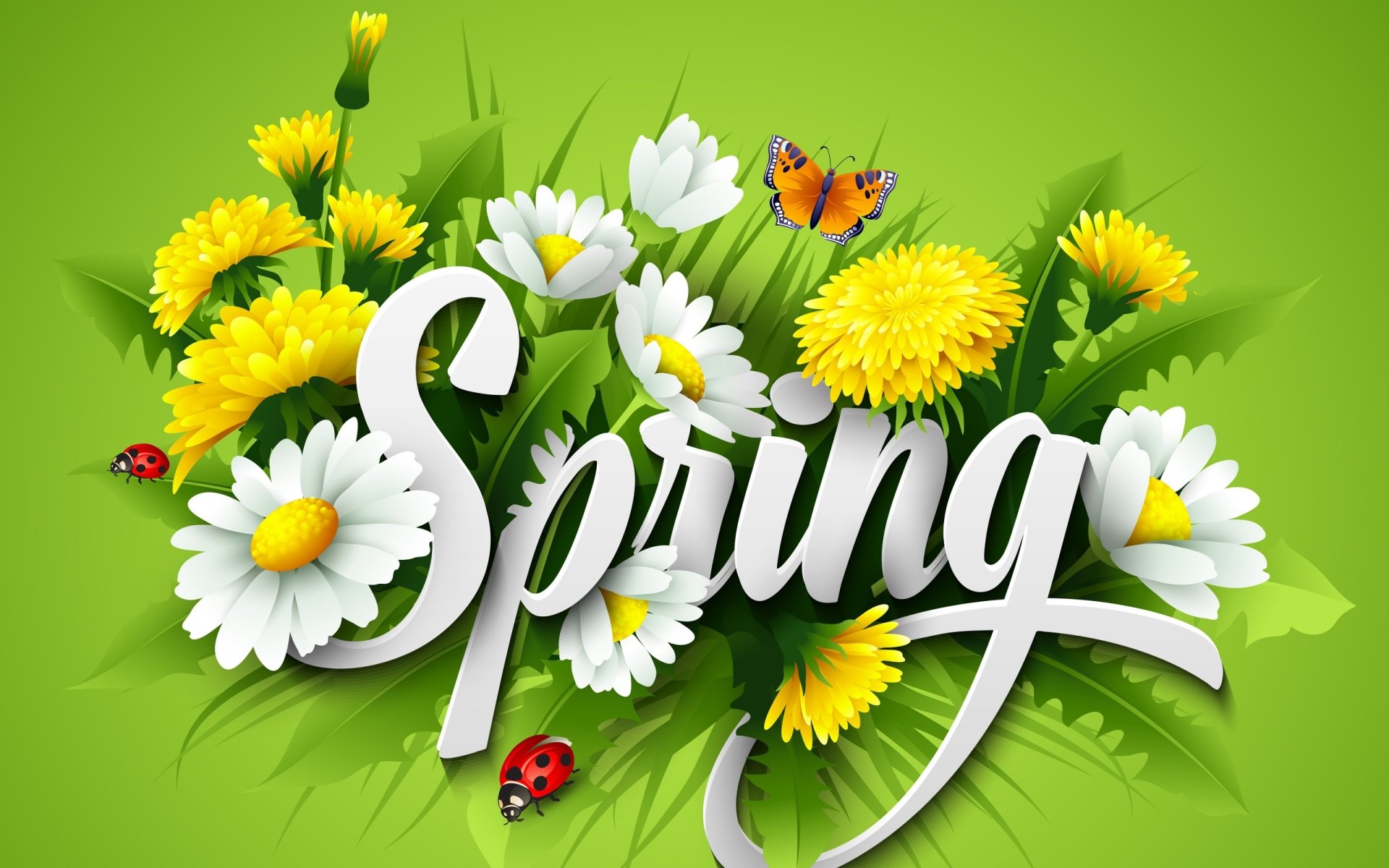 Artistic HD PC desktop wallpaper featuring the word Spring surrounded by yellow dandelions, white daisies, a butterfly, and ladybugs on a bright green background.