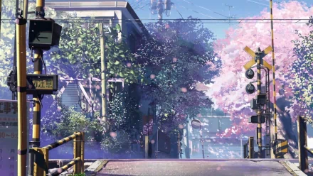 HD anime wallpaper featuring a serene scene from 5 Centimeters per Second with cherry blossoms and a railway crossing.