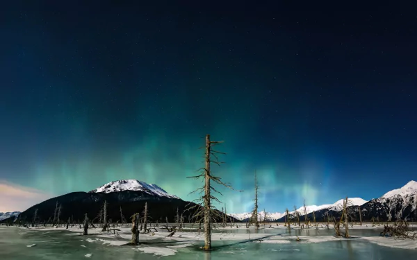 HD winter night desktop wallpaper: snow-capped mountains under a starry sky and green aurora borealis over an icy lake dotted with standing dead trees.