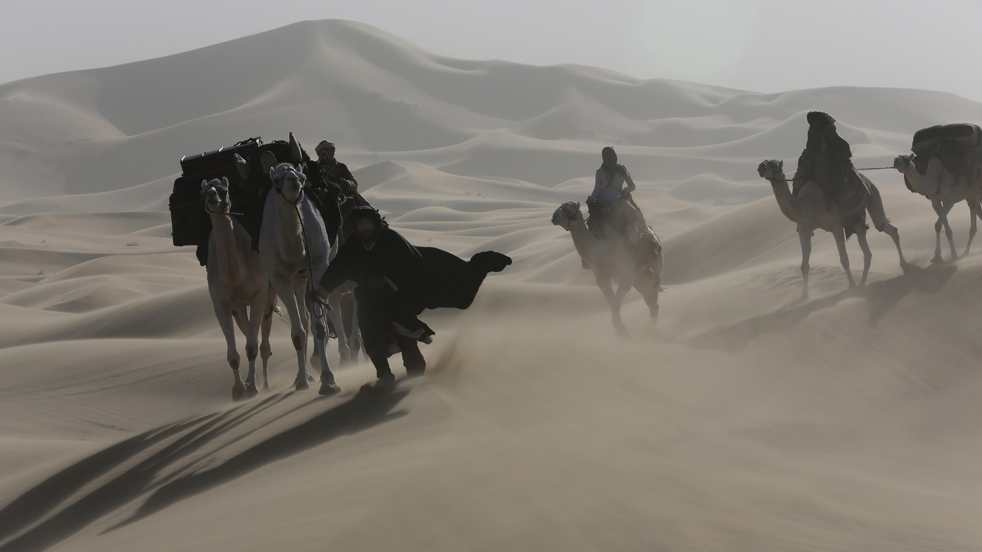 Movie Queen of the Desert HD Wallpaper | Background Image