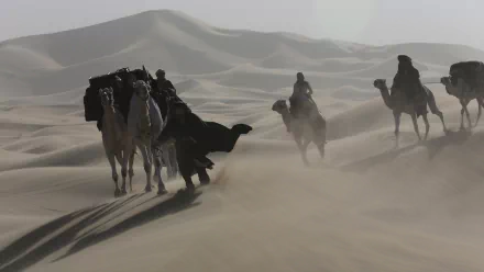 camel movie Queen of the Desert HD Desktop Wallpaper | Background Image
