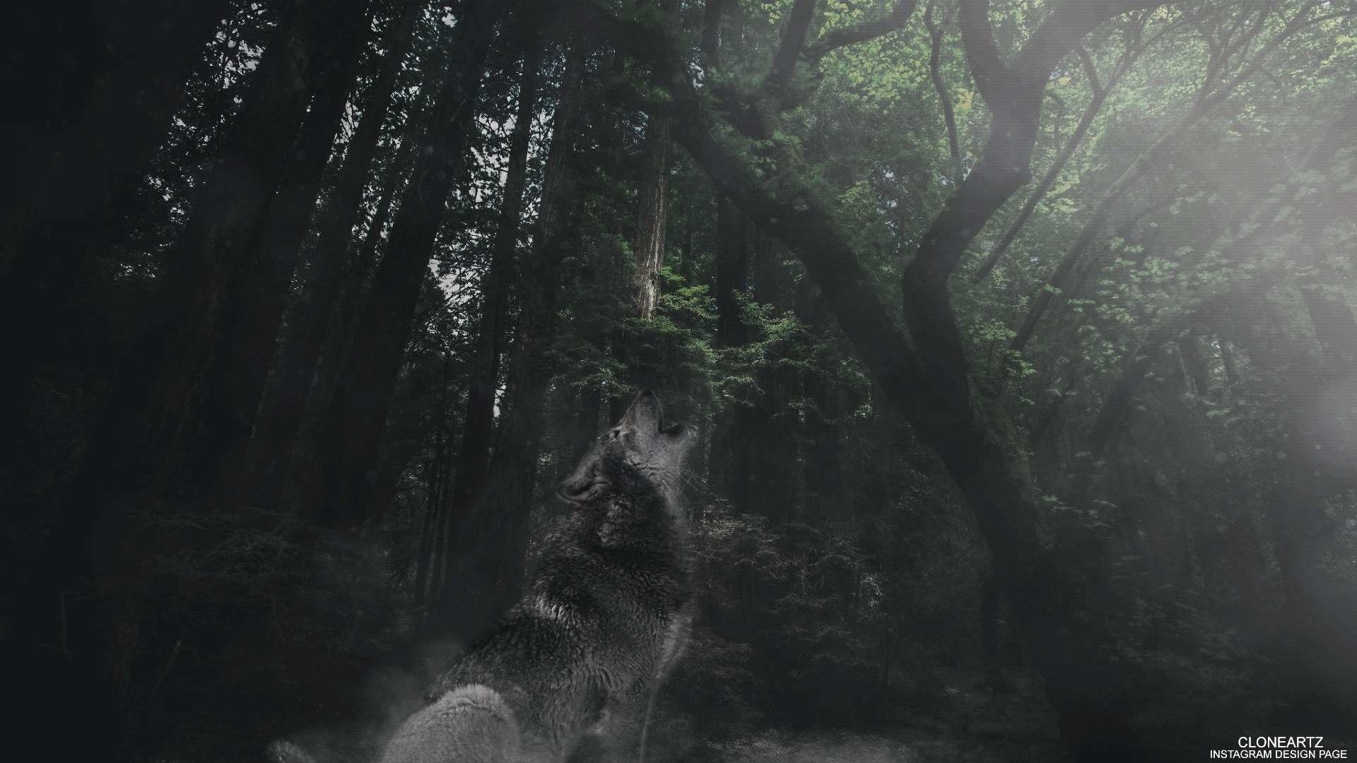 Download Manipulation Howling Tree Forest Animal Wolf HD Wallpaper by ...