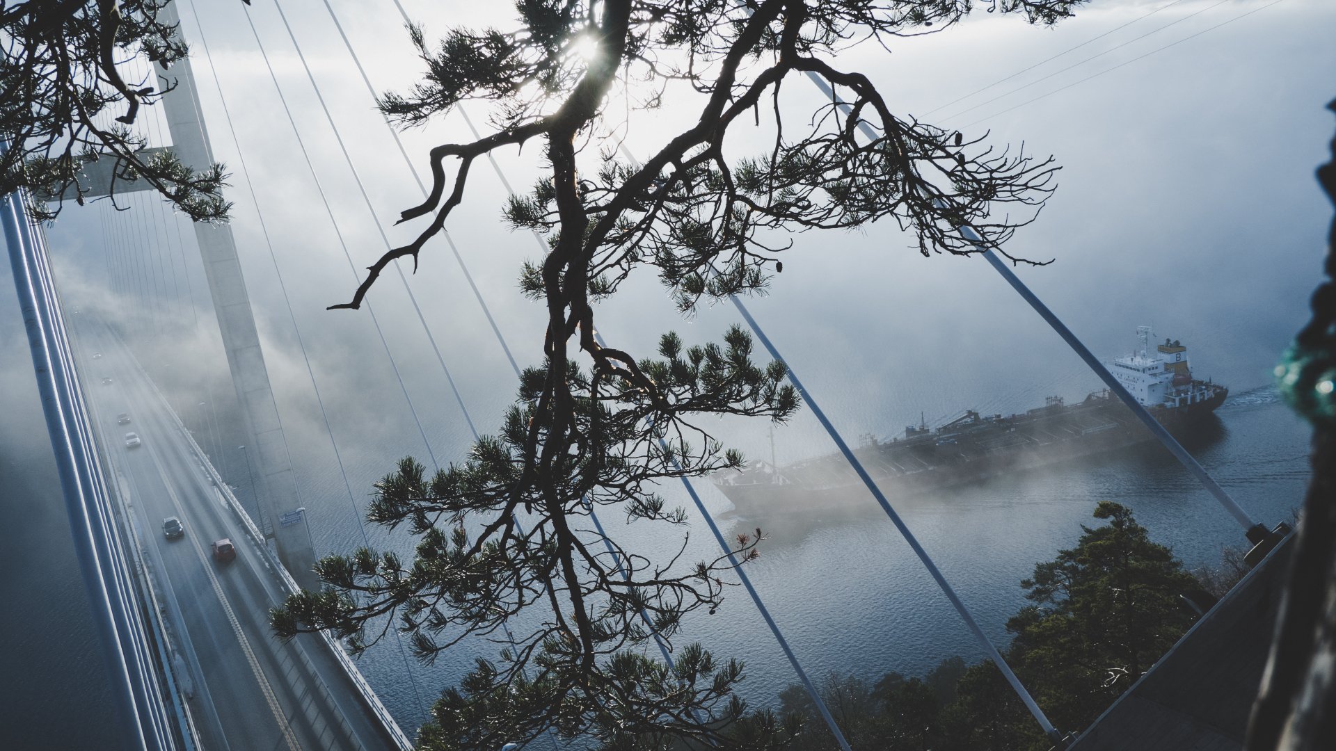 4K Ultra HD desktop wallpaper showing a tanker boat passing under a suspension bridge shrouded in fog, framed by tree branches.