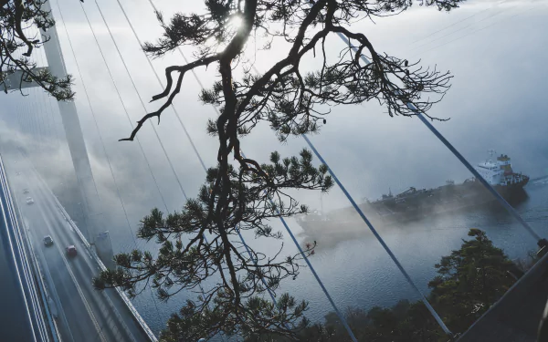 4K Ultra HD desktop wallpaper showing a tanker boat passing under a suspension bridge shrouded in fog, framed by tree branches.