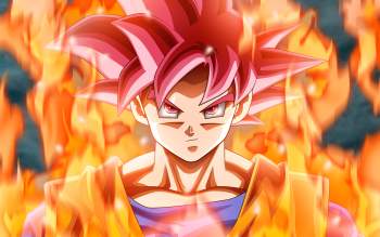Papel de parede HD para desktop: Anime, Goku, Dragon Ball, Deus Super  Saiyajin, Dragon Ball Super baixar imagem grátis #512263
