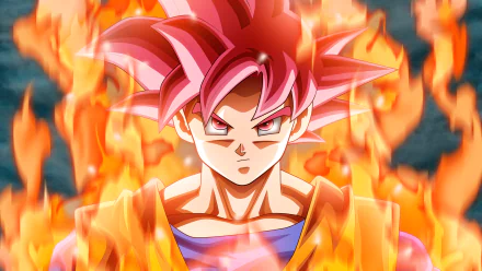 A high-definition desktop wallpaper featuring Goku in his Super Saiyan God form from Dragon Ball Super. Goku stands intensely with fiery red hair, surrounded by flames.