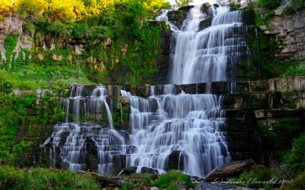 Earth Waterfall Waterfalls Forest Green HD Wallpaper | Background Image