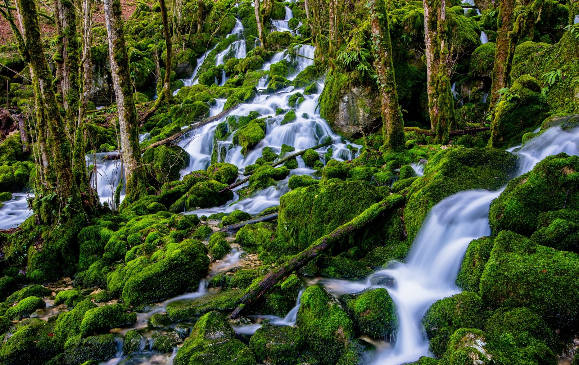 Stream Images Free : Stream Background Photos, Download The BEST Free ...