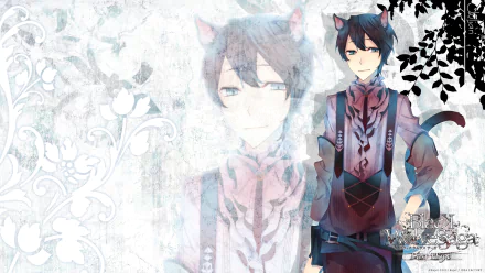 Anime black wolves saga HD Desktop Wallpaper | Background Image