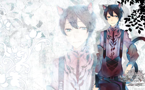 Anime black wolves saga HD Desktop Wallpaper | Background Image