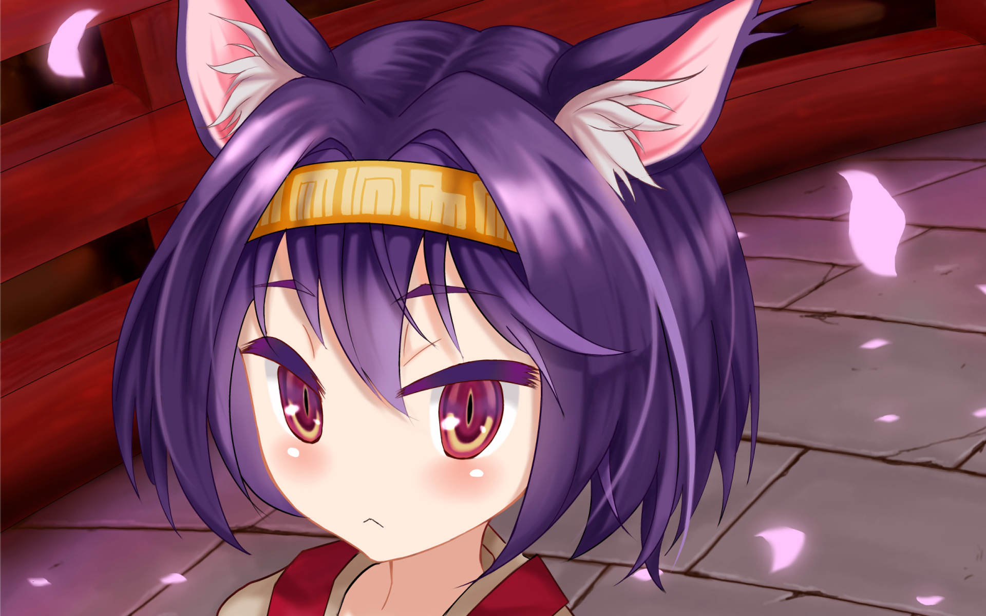 Izuna Hatsuse from No Game No Life — anime HD PC desktop wallpaper: close-up of a purple-haired, fox-eared girl with a headband and falling sakura petals against a stone path and red bridge background.