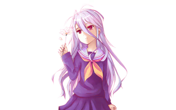 Anime character Shiro from No Game No Life with long white hair and a purple school uniform, featured in a 4K Ultra HD PC desktop wallpaper and background.