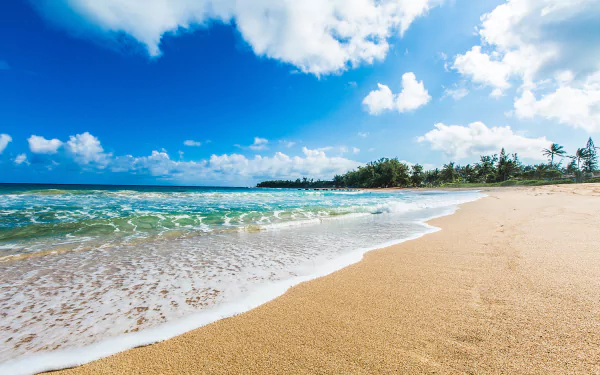 4K Ultra HD wallpaper of a sandy beach in Kauai, Hawaii, featuring a tropical palm tree-lined horizon and the vibrant blue ocean under a partly cloudy sky.