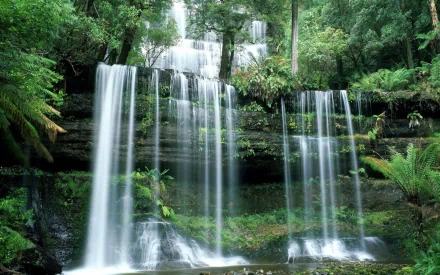 A stunning HD wallpaper featuring lush green ferns and trees surrounding a serene waterfall in Tasmania, capturing the beauty of nature and flowing water.