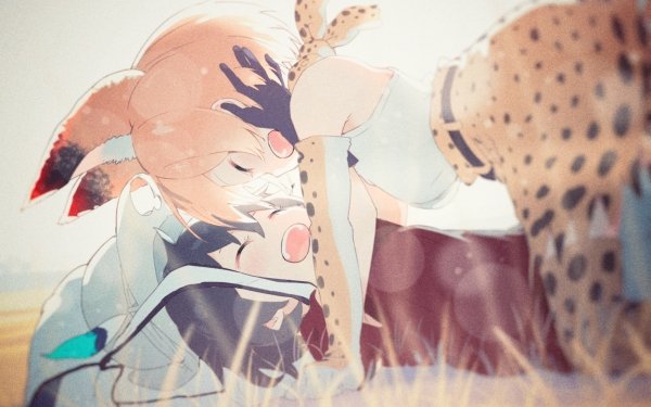 Anime Kemono Friends Serval Kaban HD Wallpaper | Background Image