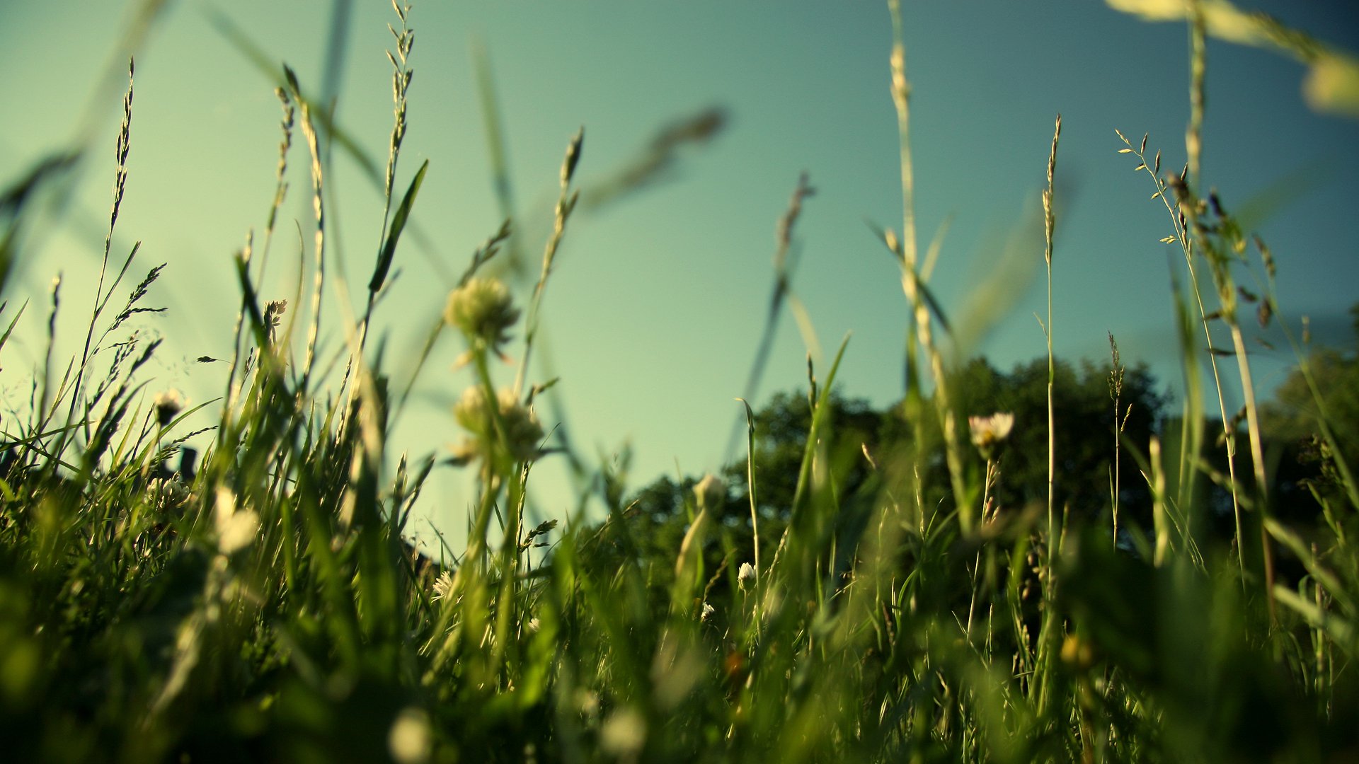 Download Landscape Photography Nature Grass  HD Wallpaper