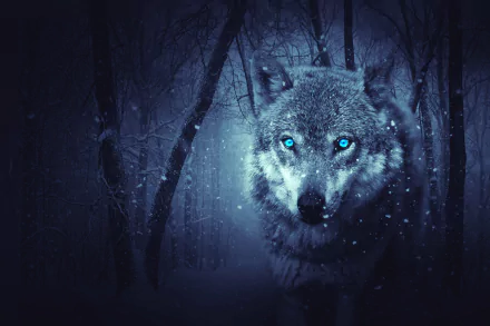 HD desktop wallpaper featuring a wolf with blue eyes standing in a snowy forest, creating a mystical and fantasy-like atmosphere.