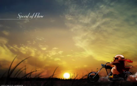 HD anime desktop wallpaper featuring a Gintama character riding a motorcycle at sunset, with Speed of Flow text amid a dramatic sky and grassy foreground.