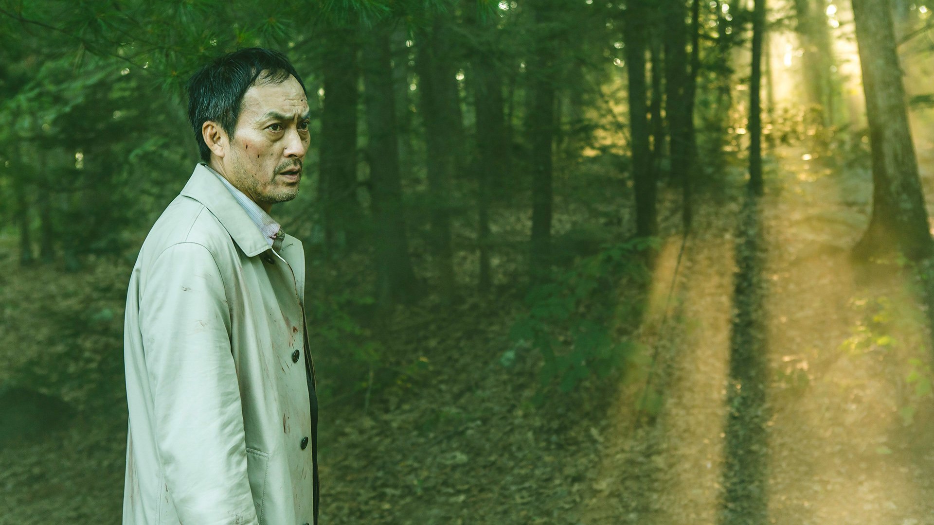 Download Ken Watanabe Movie The Sea Of Trees HD Wallpaper