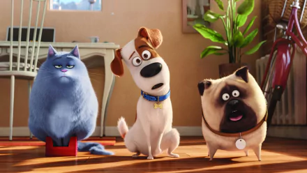 Max (The Secret Life of Pets) movie The Secret Life of Pets HD Desktop Wallpaper | Background Image