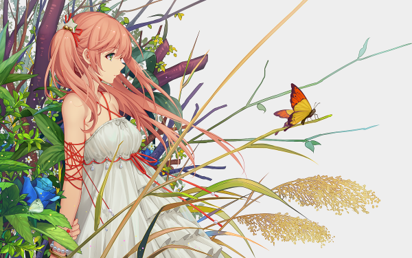 Anime Original Colorful Spring Flower Butterfly HD Wallpaper | Background Image