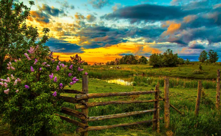 A serene HD landscape wallpaper showing a vibrant sunset over a lush spring field, framed by a rustic fence and blooming flowers, with clouds scattered across the evening sky.