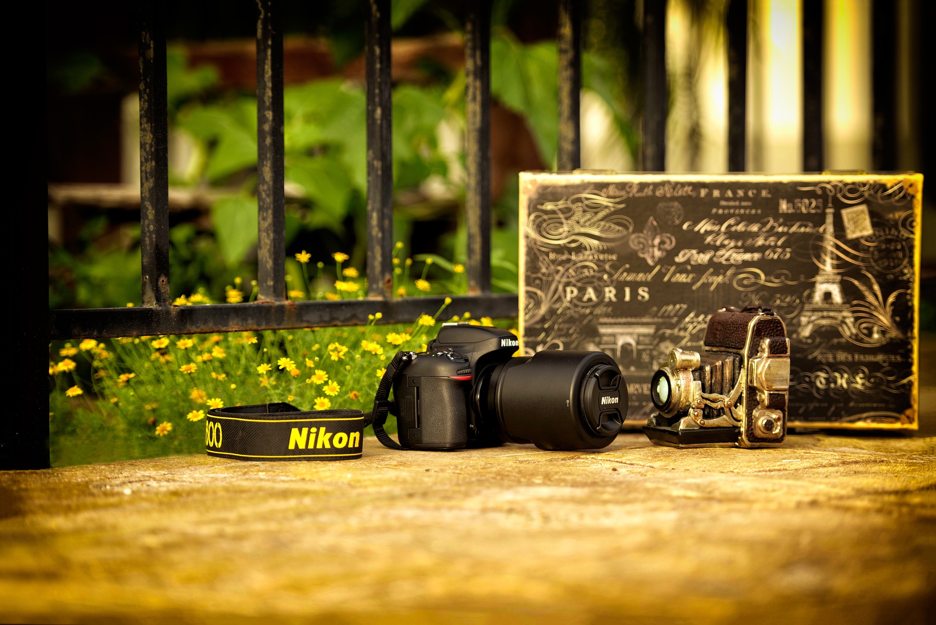 Nikon and Vintage Camera