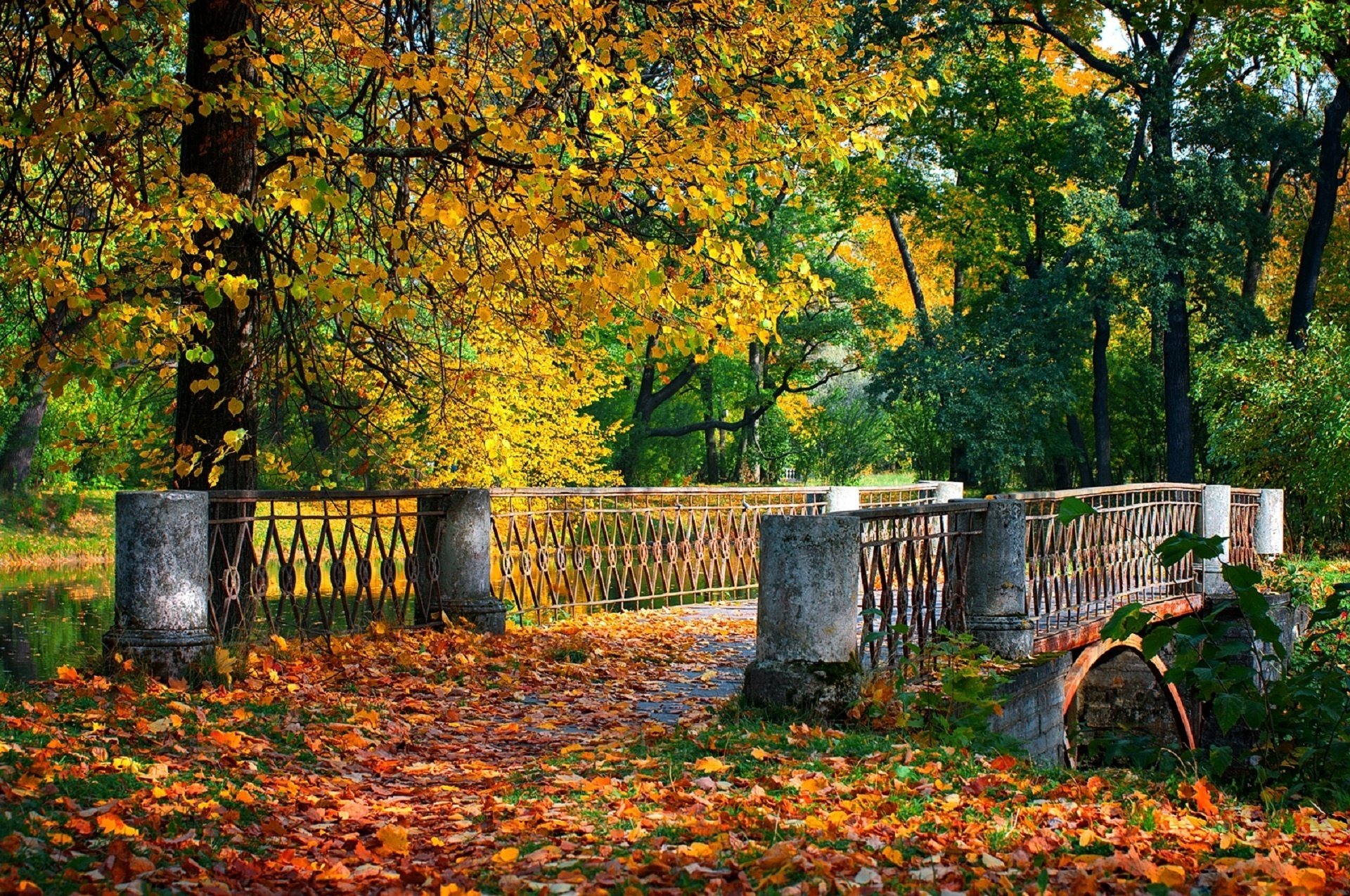 Осенний пейзаж Дубки Таганрог