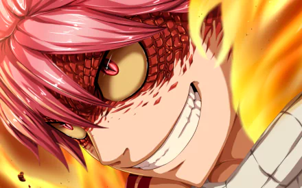 HD desktop wallpaper featuring Natsu Dragneel from the anime Fairy Tail, with a close-up of his intense, determined expression surrounded by flames.