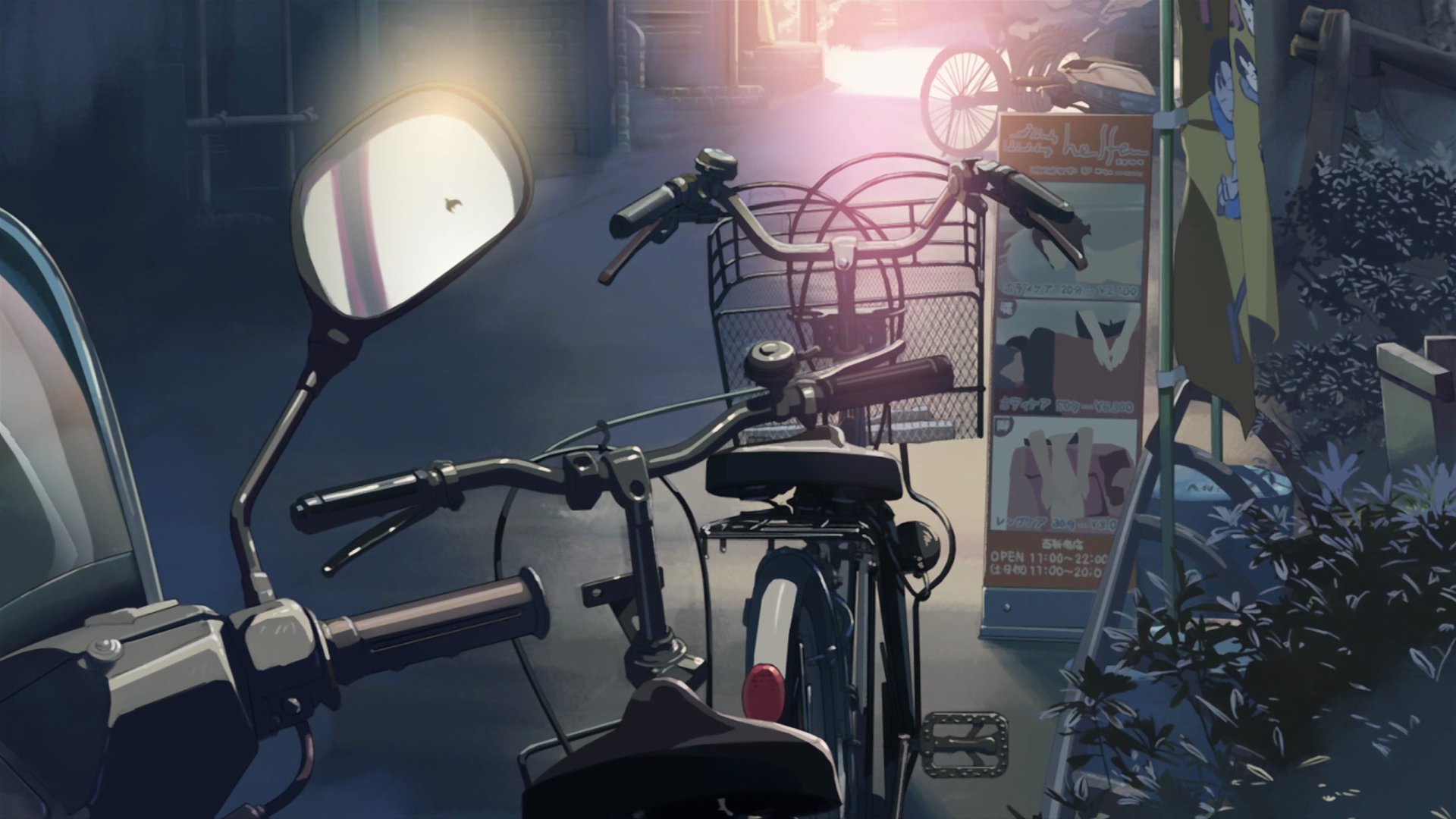 5 Centimeters Per Second HD Wallpaper | Background Image ...