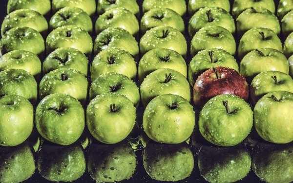 Food Apple Fruits Fruit Reflection HD Wallpaper | Background Image