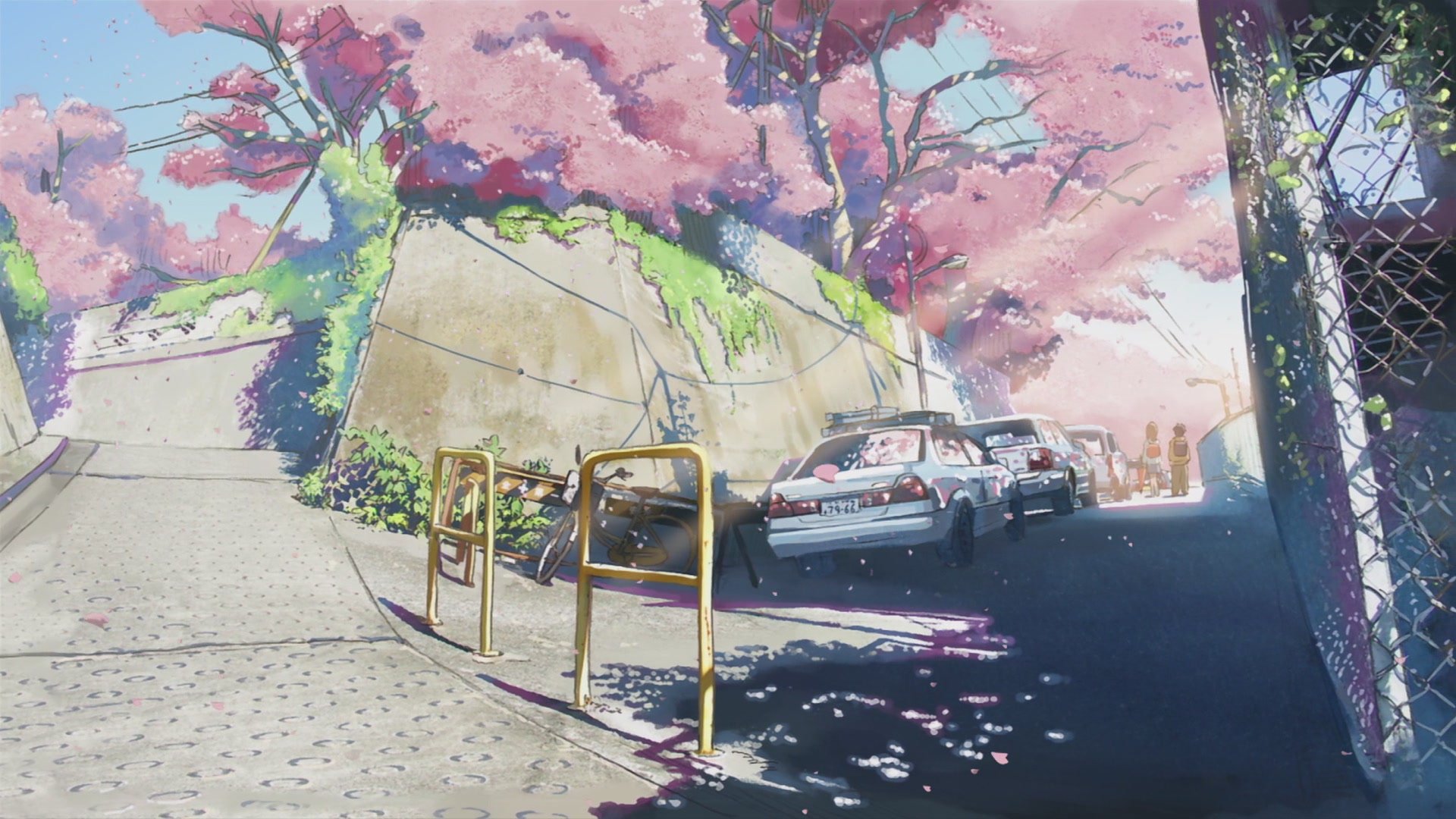 A serene HD wallpaper from the anime 5 Centimeters per Second, featuring a tranquil street lined with blooming cherry blossom trees and parked cars, evoking a nostalgic atmosphere.