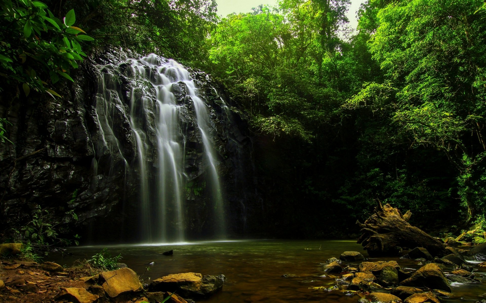 Download Green Forest Nature Waterfall HD Wallpaper