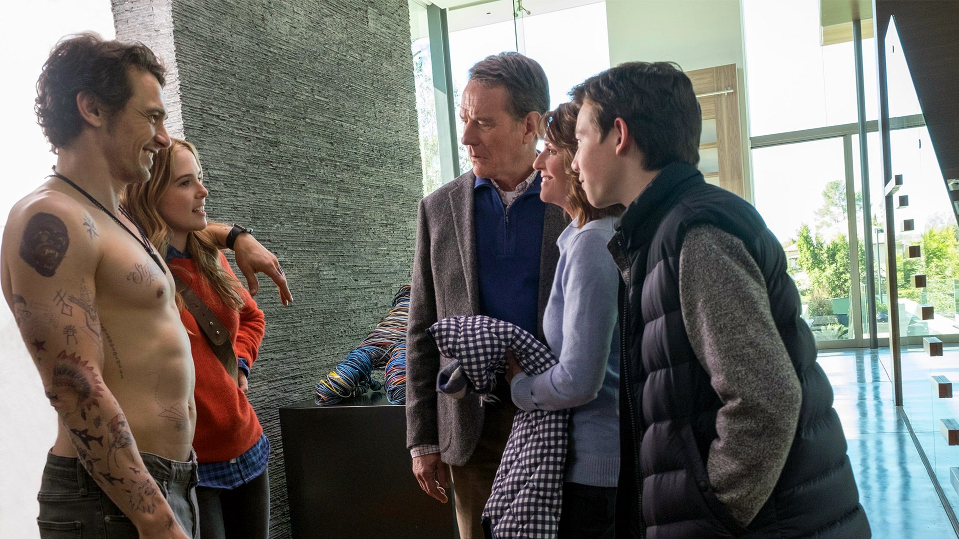 Download Megan Mullally Zoey Deutch James Franco Bryan Cranston Movie Why Him? HD Wallpaper